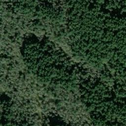 Satellite imagery of SNAG ON KNOLL W OF STA TIGER — NGS SX1404 — King County, US, US