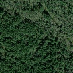 Satellite imagery of SNAG ON KNOLL W OF STA TIGER — NGS SX1404 — King County, US, US