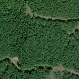 Satellite imagery of TIGER BEACON — NGS SX1486 — King County, US, US