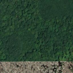 Satellite imagery of 172, CH