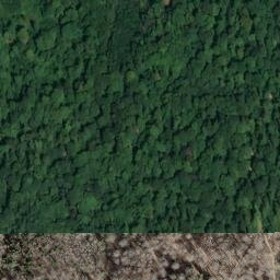 Satellite imagery of 161, CH