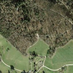 Satellite imagery of Sendeturm Brühlberg, CH