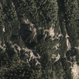 Satellite imagery of Schellkopf, DE