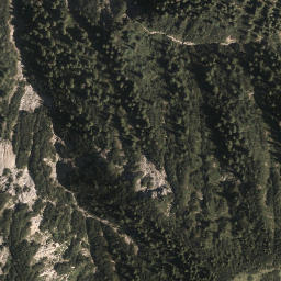 Satellite imagery of Schellkopf, DE