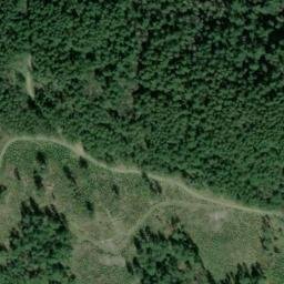 Satellite imagery of SNAG ON KNOLL W OF STA TIGER — NGS SX1404 — King County, US, US