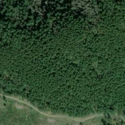 Satellite imagery of SNAG ON KNOLL W OF STA TIGER — NGS SX1404 — King County, US, US