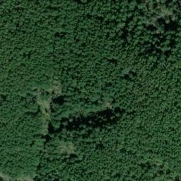 Satellite imagery of SNAG ON KNOLL W OF STA TIGER — NGS SX1404 — King County, US, US