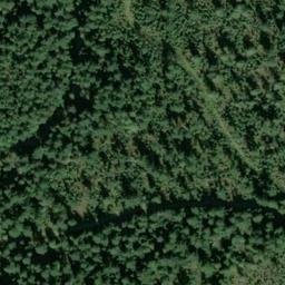 Satellite imagery of UPPER PRESTON — NGS SX1399 — King County, US, US