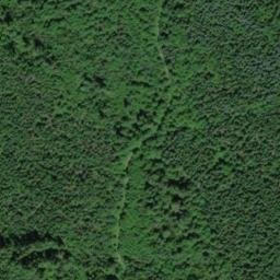 Satellite imagery of WEST RATTLESNAKE — NGS SX1315 — King County, US, US