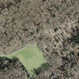 Satellite imagery of 172, CH