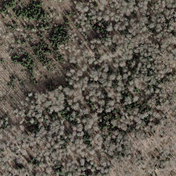 Satellite imagery of Borne frontière 165, CH