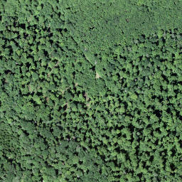 Satellite imagery of 60, CH
