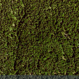 Satellite imagery of Sunkenberg, DE