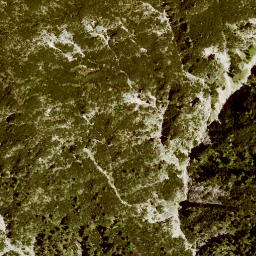 Satellite imagery of Rauhenstein, DE
