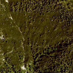 Satellite imagery of Zunderköpfel, DE