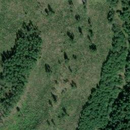 Satellite imagery of SNAG ON KNOLL W OF STA TIGER — NGS SX1404 — King County, US, US