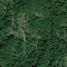 Satellite imagery of SNAG ON KNOLL W OF STA TIGER — NGS SX1404 — King County, US, US