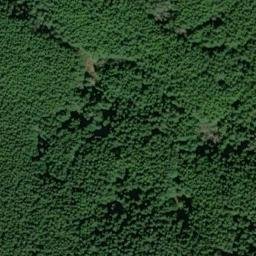 Satellite imagery of TIGER MTN — NGS SX1409 — King County, US, US