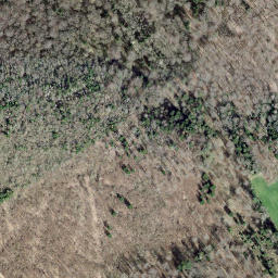 Satellite imagery of 172, CH