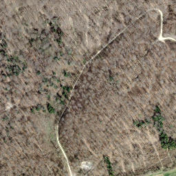 Satellite imagery of 161, CH