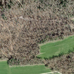 Satellite imagery of 155, CH