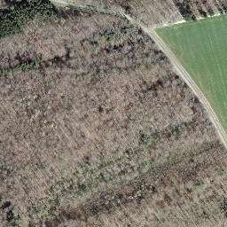 Satellite imagery of Borne frontière 123C, CH