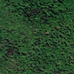 Satellite imagery of 6834701 - A, CH