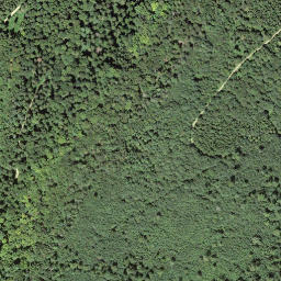 Satellite imagery of boundary_stone, CH