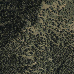 Satellite imagery of Schellkopf, DE