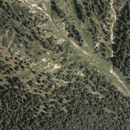 Satellite imagery of Schellkopf, DE