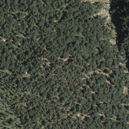 Satellite imagery of Schelleck, DE