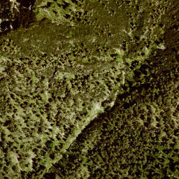 Satellite imagery of Rauheck, DE