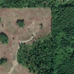 Satellite imagery of Shillinger Quarry, US