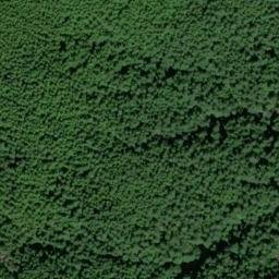 Satellite imagery of TIGER MTN — NGS SX1409 — King County, US, US