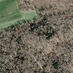 Satellite imagery of Borne frontière 128, CH