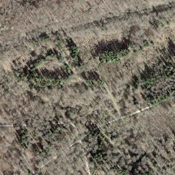 Satellite imagery of Borne frontière 123C, CH