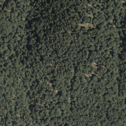 Satellite imagery of Schelleck, DE