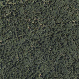 Satellite imagery of Schelleck, DE