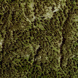 Satellite imagery of Rauheck, DE