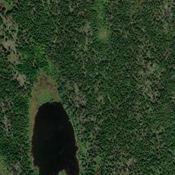 Satellite imagery of Black Head Hill, CA