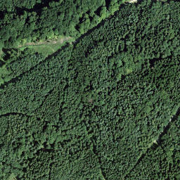 Satellite imagery of Bischofsberg, CH