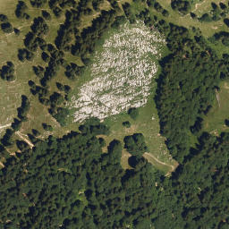 Satellite imagery of Selekopf, DE