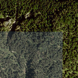 Satellite imagery of Ofenberg, DE