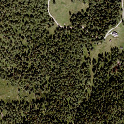 Satellite imagery of Diewaldgupf, AT