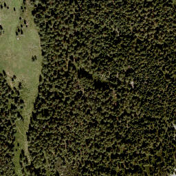 Satellite imagery of Diewaldgupf, AT