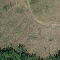Satellite imagery of TARGET RR TRESTLE W MTN SLOPE — NGS SX1400 — King County, US, US