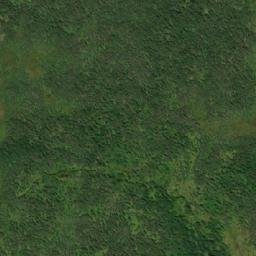 Satellite imagery of Black Duck Hill, CA