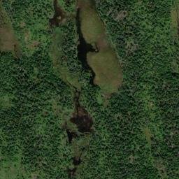 Satellite imagery of Black Head Hill, CA
