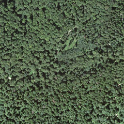 Satellite imagery of boundary_stone, CH