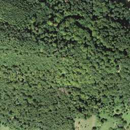 Satellite imagery of Wittnauer Horn, CH